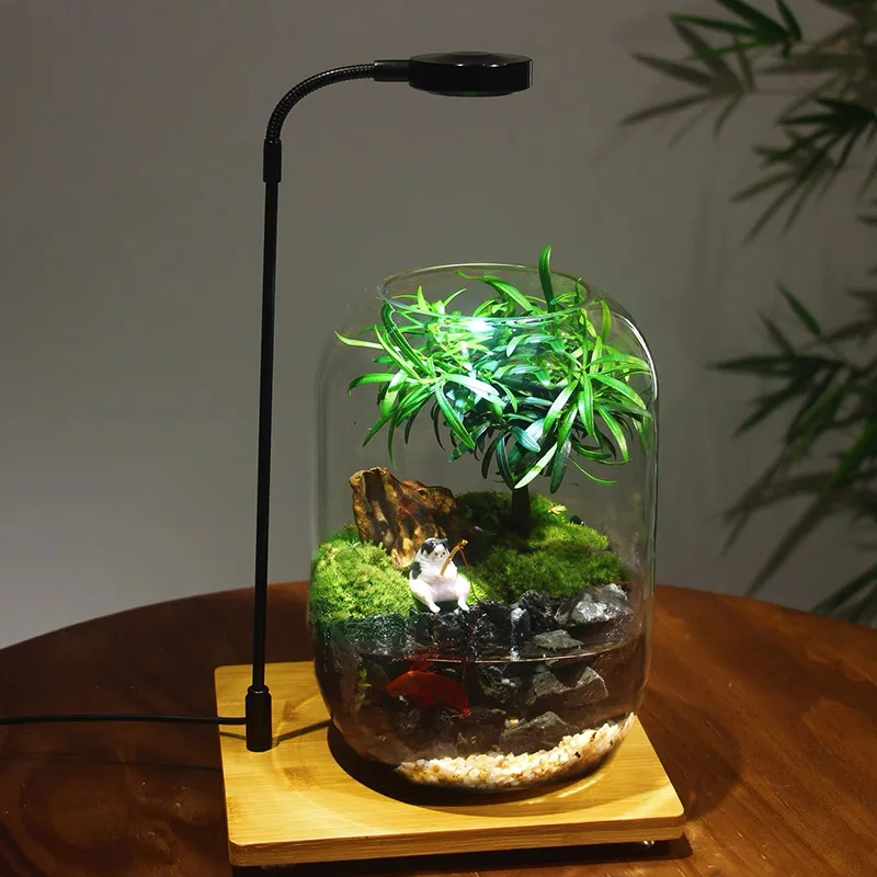 1PC Large Belly Glass Bottle, Used For Home, Office, Window Display, Desktop Decoration, Micro Garden, Handmade DIY Scenes