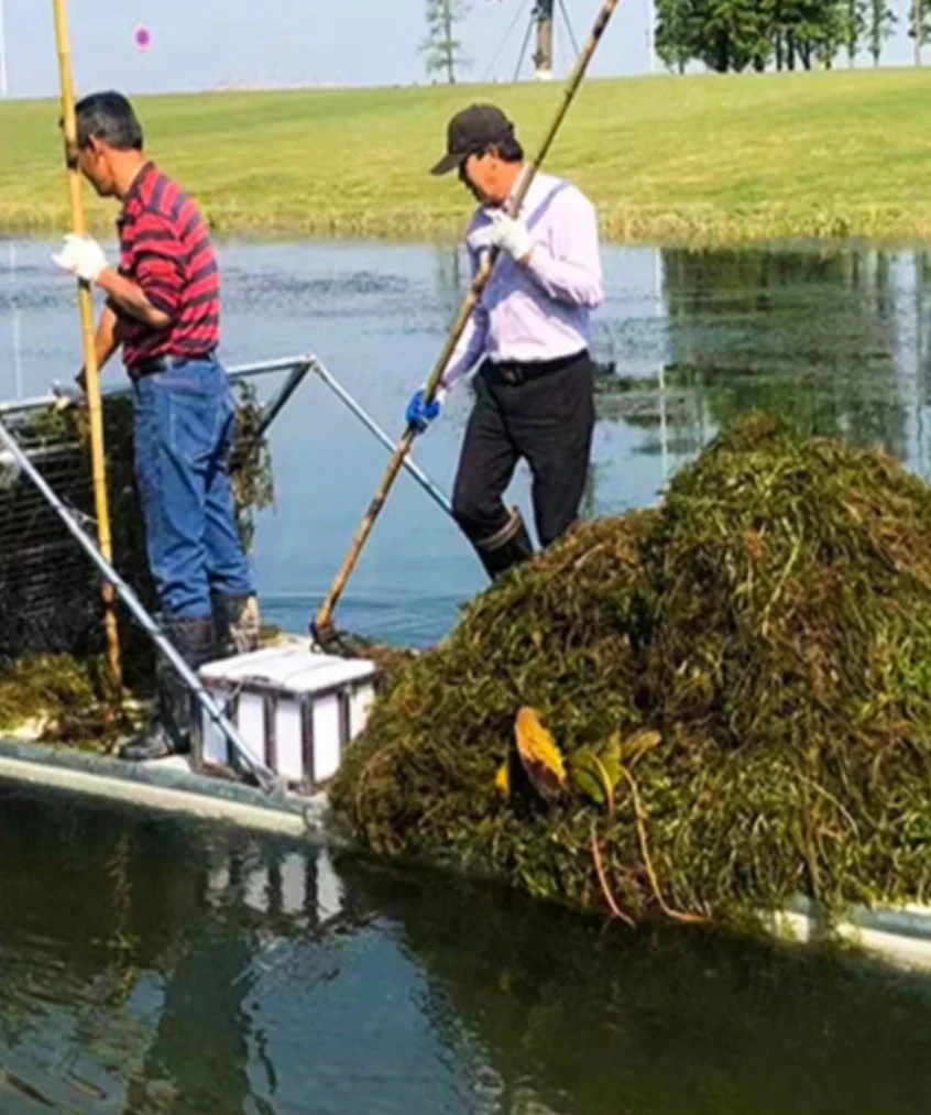 River cleaning, salvage boats, water grass cleaning, small harvesting, underwater lawn mower