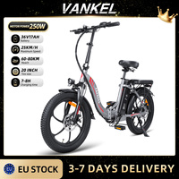 20'' Folding Electric Bike for Adults, 250W Motor, 36V 16Ah Battery, City E-Bike with LCD Display, Disc Brake Electric Bicycle