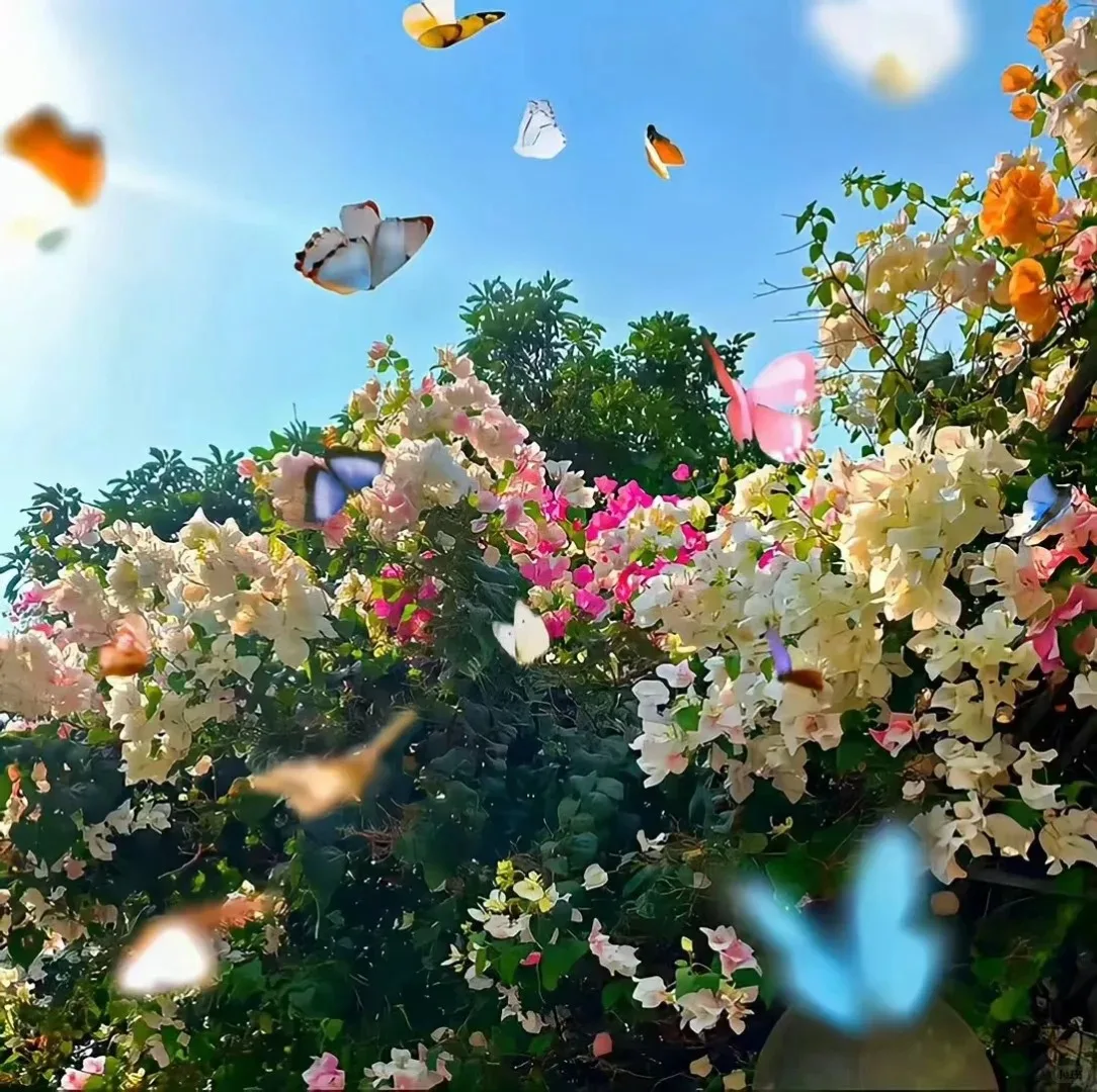 

8+256G Wireless Carplay For Buick Lacrosse 2009-2012 Android 13.0 Multimedia Player GPS Navigation Audio Stereo Tape Recorder