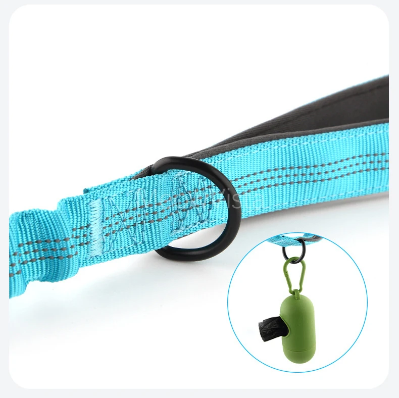 Custom Name No Pull Dog Harness Elastic Buffer Leash Set Adjustable Reflective Nylon Walking Lead for Small Medium Large Dogs