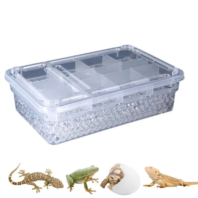 Reptile Breeding Box 20 Grids Amphibian Hatching Container Small Incubation Container for Snakes Lizards Reptiles Geckos