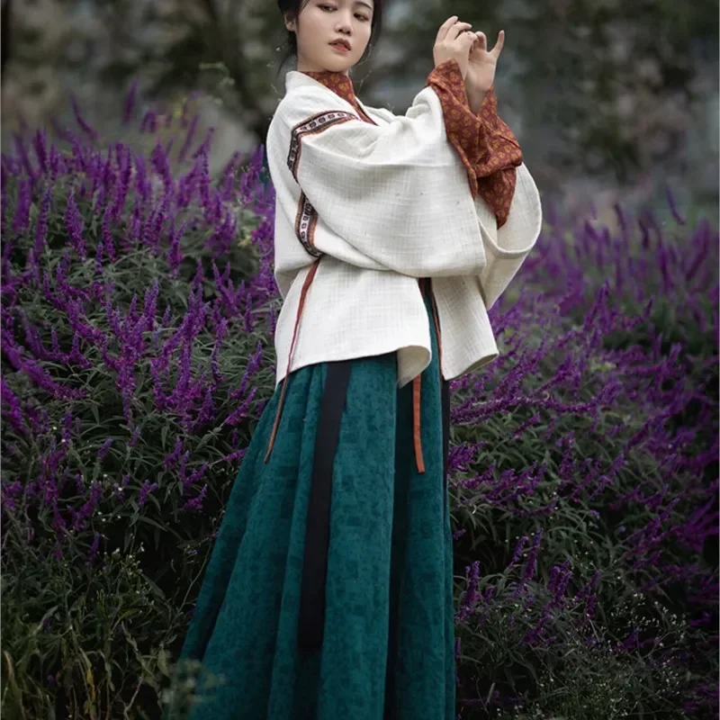 2023 Originele Hanfu Jurk Wei Jin Stijl Jin Hals Acht Gebroken Rok Dagelijks Herfst Winter Hanfu Jurk Kostuum