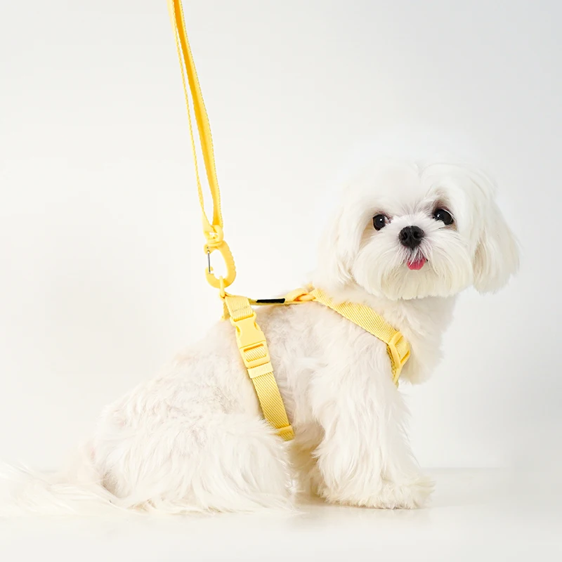 Adjustable Dog Harness Collar Leash Set Macarone Color, Reflective Small Dog Accessories for Puppy & Cat Supplies, Pet Walking