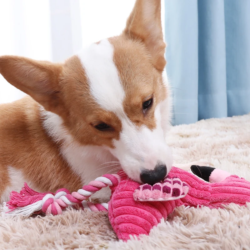 Thumbnail 3 - #30 Trending Squeaky Puppy Toys Right Now
