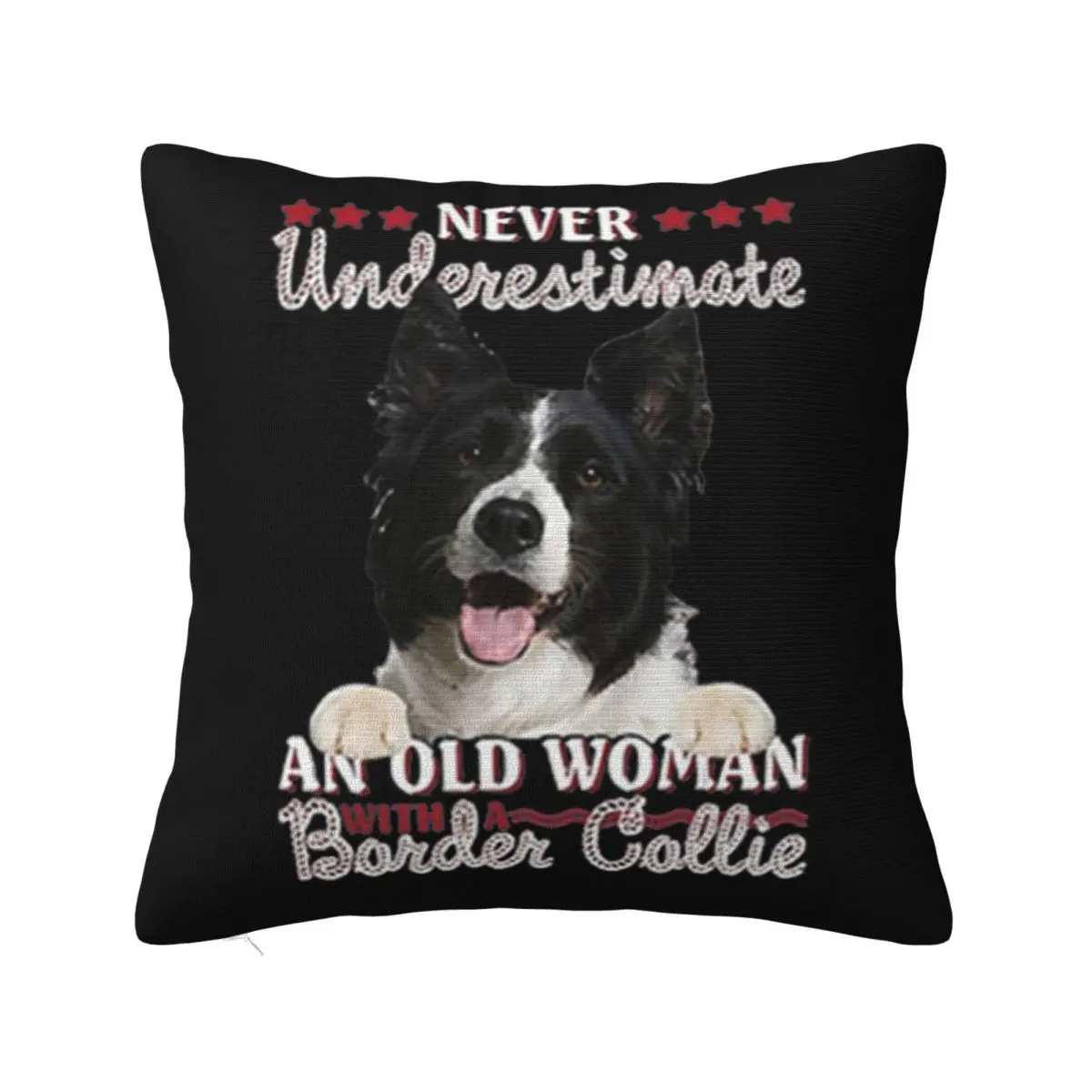 Never Underestimate An Old Woman With A Border Collie Cool New Brand Girl Womens Farmhouse Pillow Case