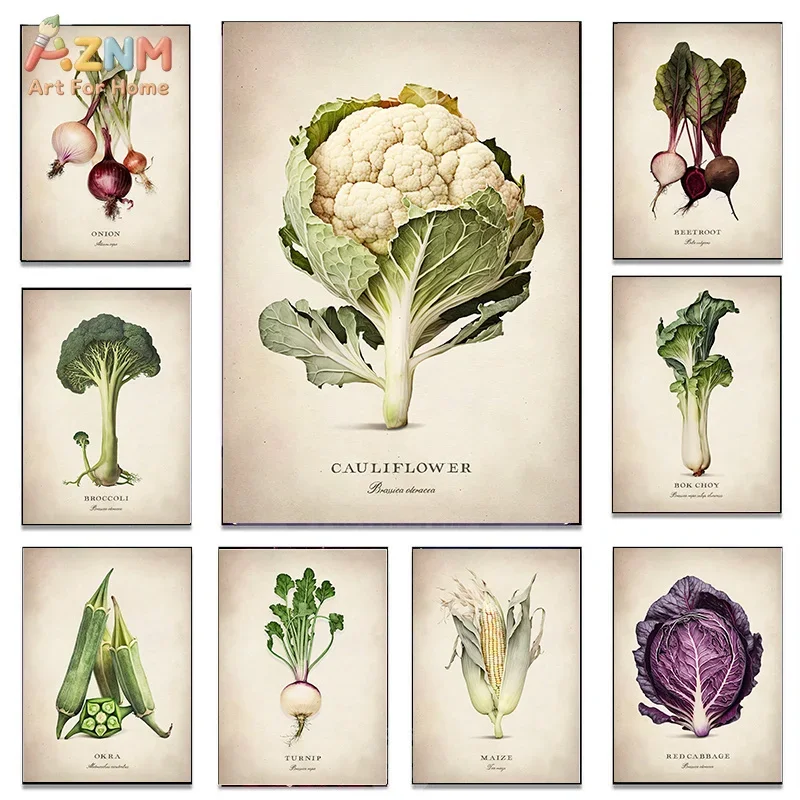 AZNM Vintage Botanical Vegetable Canvas Wall Art Retro Cauliflower Broccoli Onion Scientific Print Unframed Canvas Kitchen Farmh