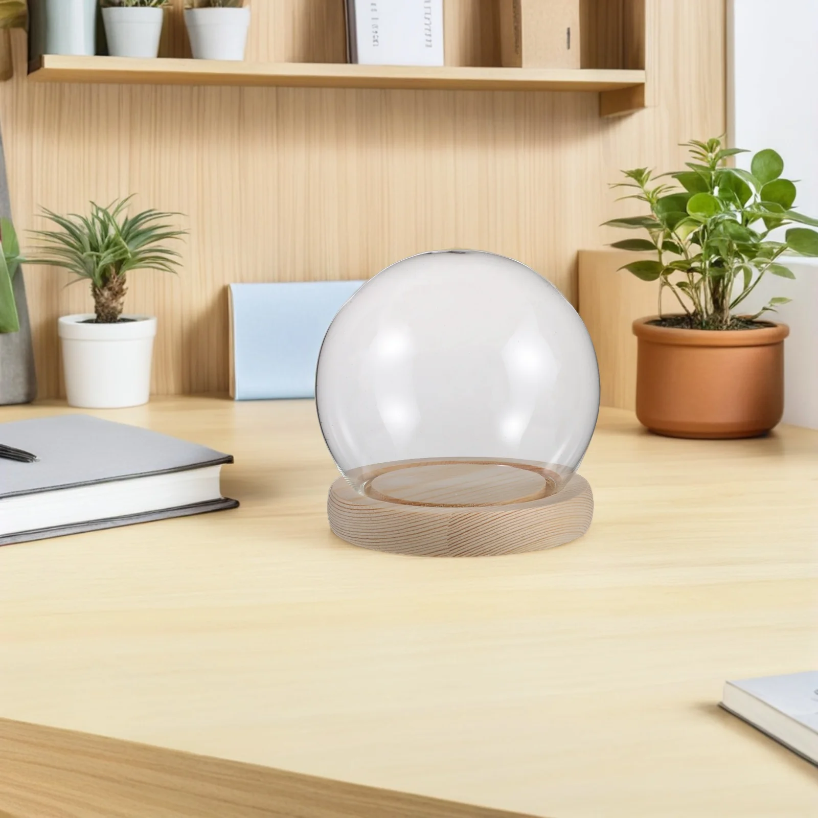 1 مجموعة زجاج مستدير عرض قبة غطاء شفاف للزهور المحفوظة الطين أرقام ديكور سطح المكتب زخرفة قاء زجاجي #2