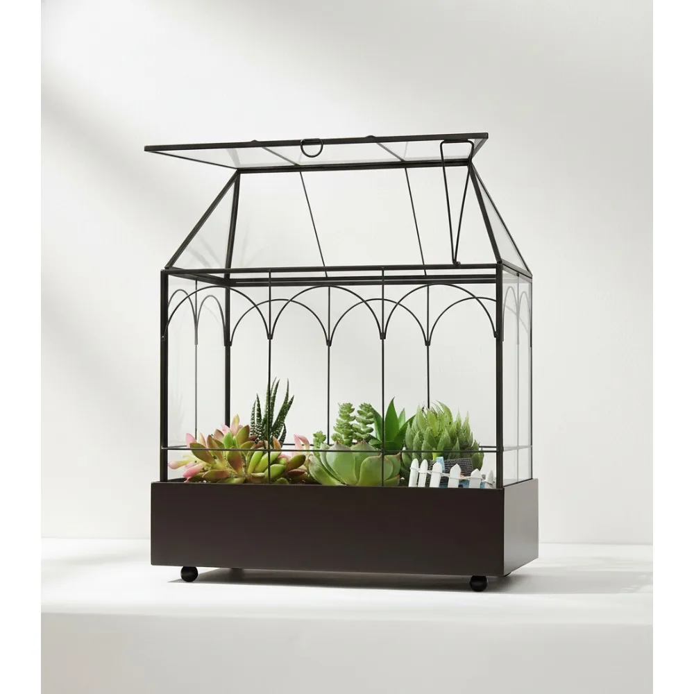 

Большой стеклянный террариум с подносом - теплица высотой 11,4 дюйма для суккулентов, орхидей, домашнего декора