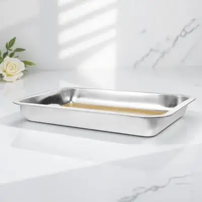 

Lab Dissection Tray Stainless Steel Wax Dissection Plate for Biological Studies Heavy Duty Construction Polished Edges Safe