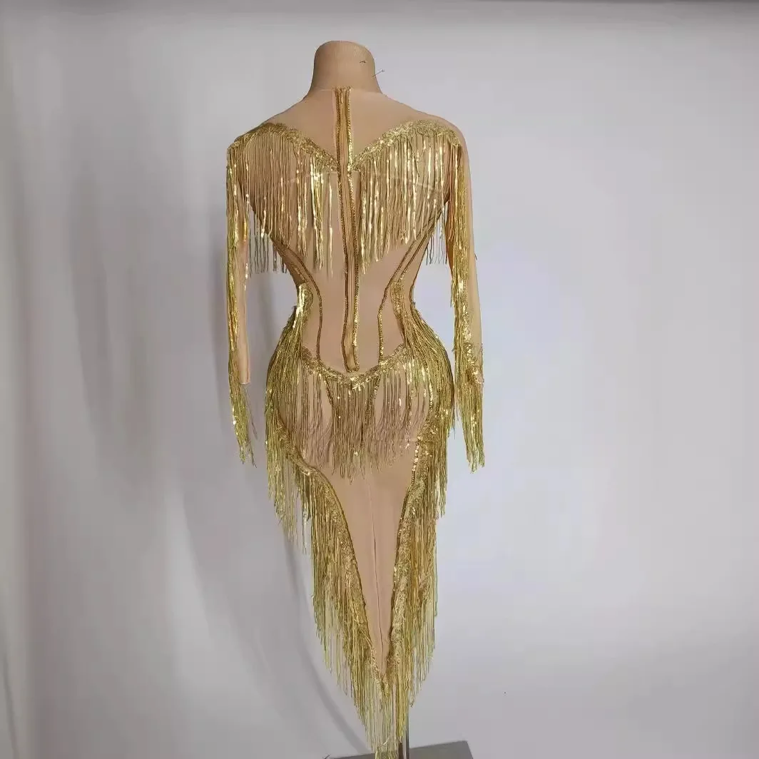 

Female Singer Stage Costume Mesh Transparent Tassel Tube Top Dress Electronic Music Festival Performance