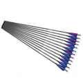 6 Pcs