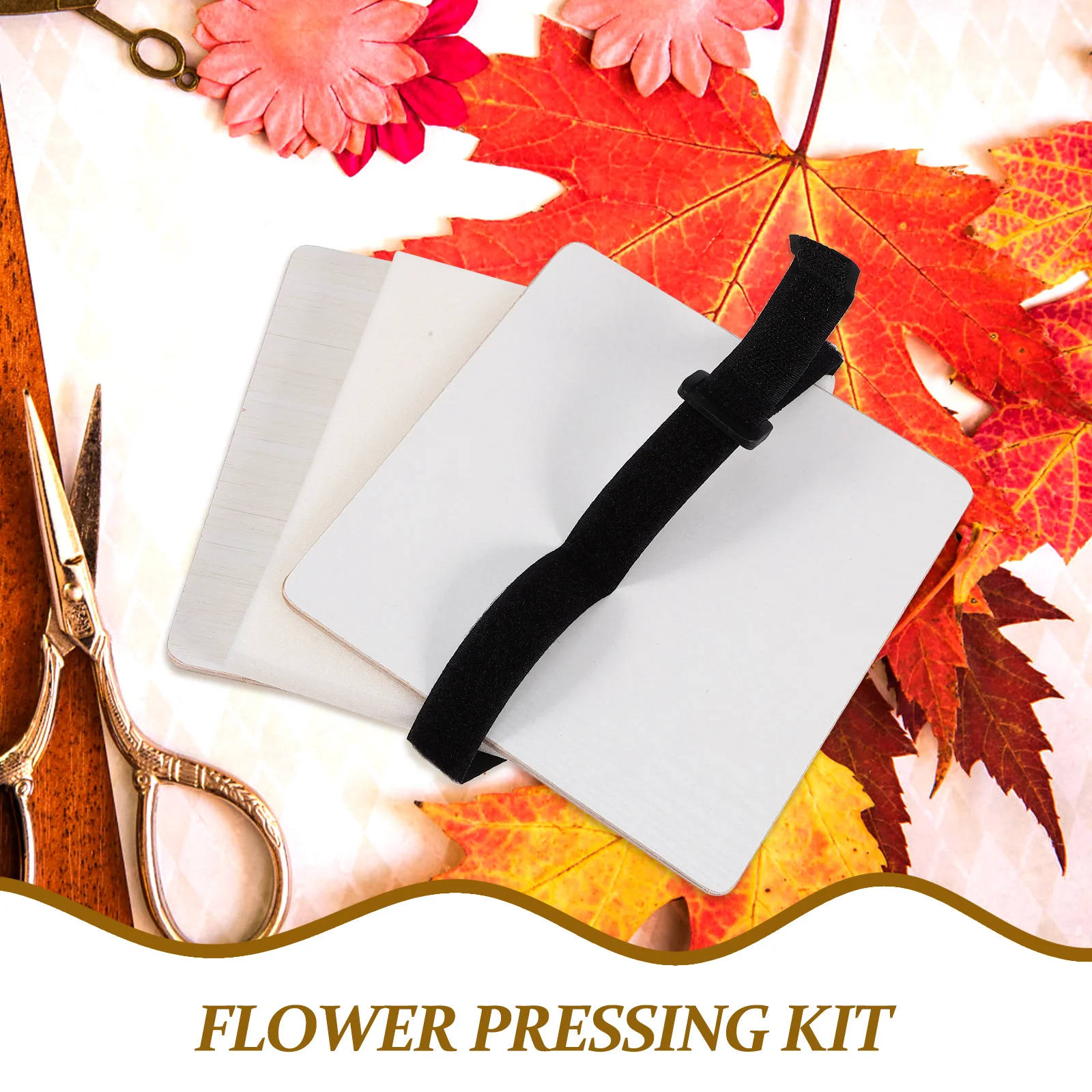 

Wooden Flower Pressing Kit For Adults Plants Specimen Tool Set Preserving Dried Flowers Diy Embossing Device Leaf Press Smooth