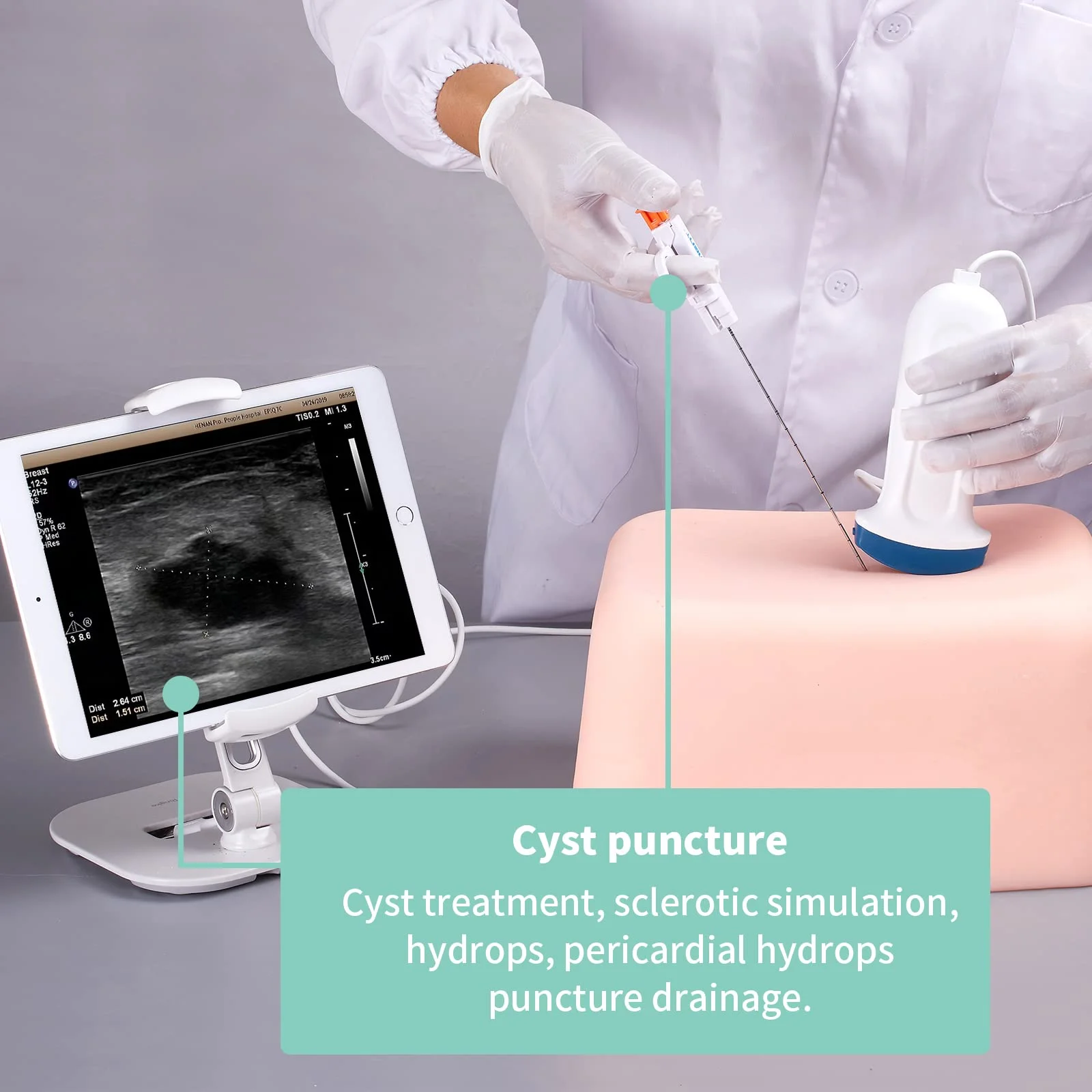 

Ultrasound tumor Puncture Phantom, Abdominal 6 Simulated Lumps Biopsy Cyst Puncture Teaching Practical Training