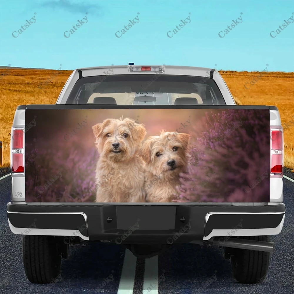 Norfolk Terrier animal Car stickers rear exterior modification kit vinyl painting for cars truck stickers