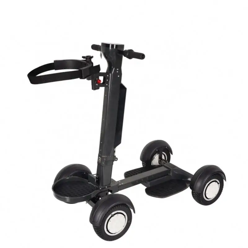 New 11-Inch Fat Tire 2000W Electric Golf Board, Dual Motor Aluminum Golf Trolley