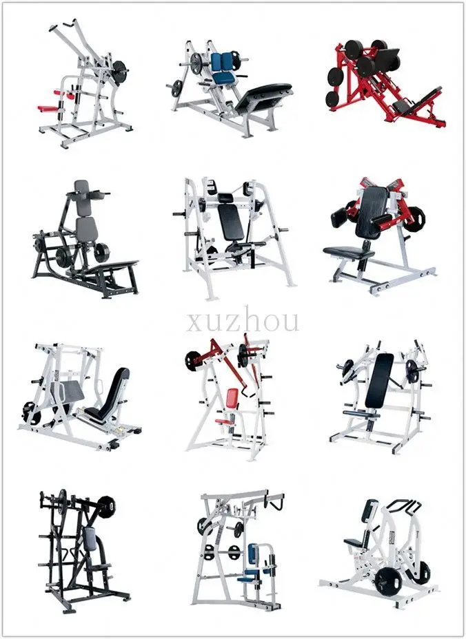 Gym Equipment Back Extension for Indoor Fitness Sports Equipment,Back Machine Plate Pin Loaded