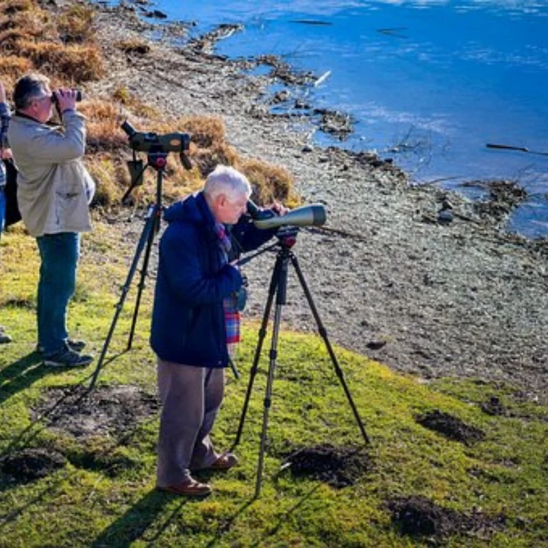 

Стальной корпус дифференциала коробки передач Ldler Set 47T 29T ARA311095 для ARRMA 1/10 GORGON Monster Truck 4x2 RC Car Upgrade Parts