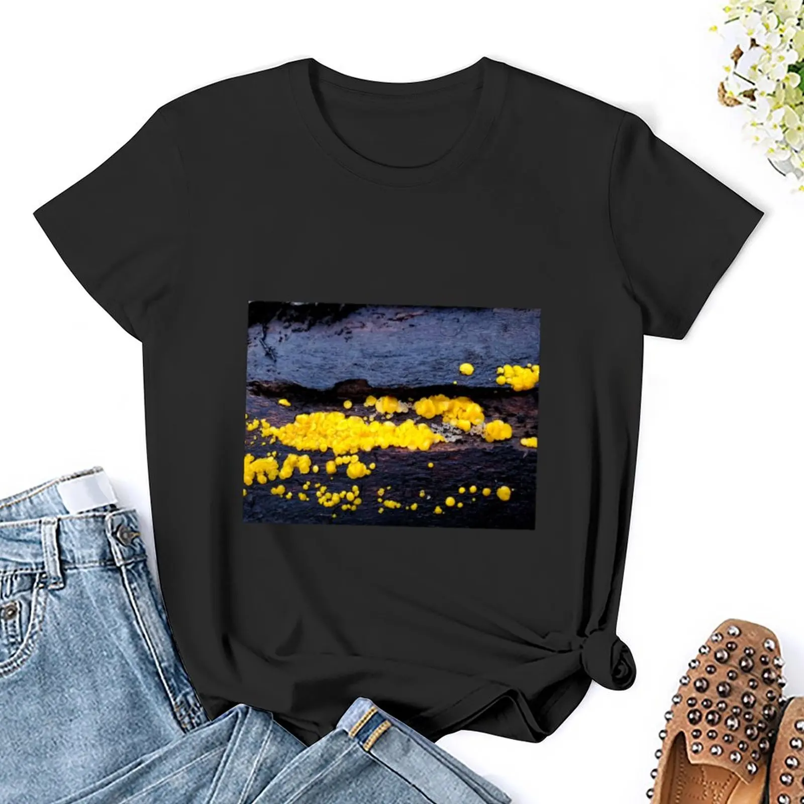 Calycina citrina T-Shirt Blouse aesthetic clothes tshirts for Women