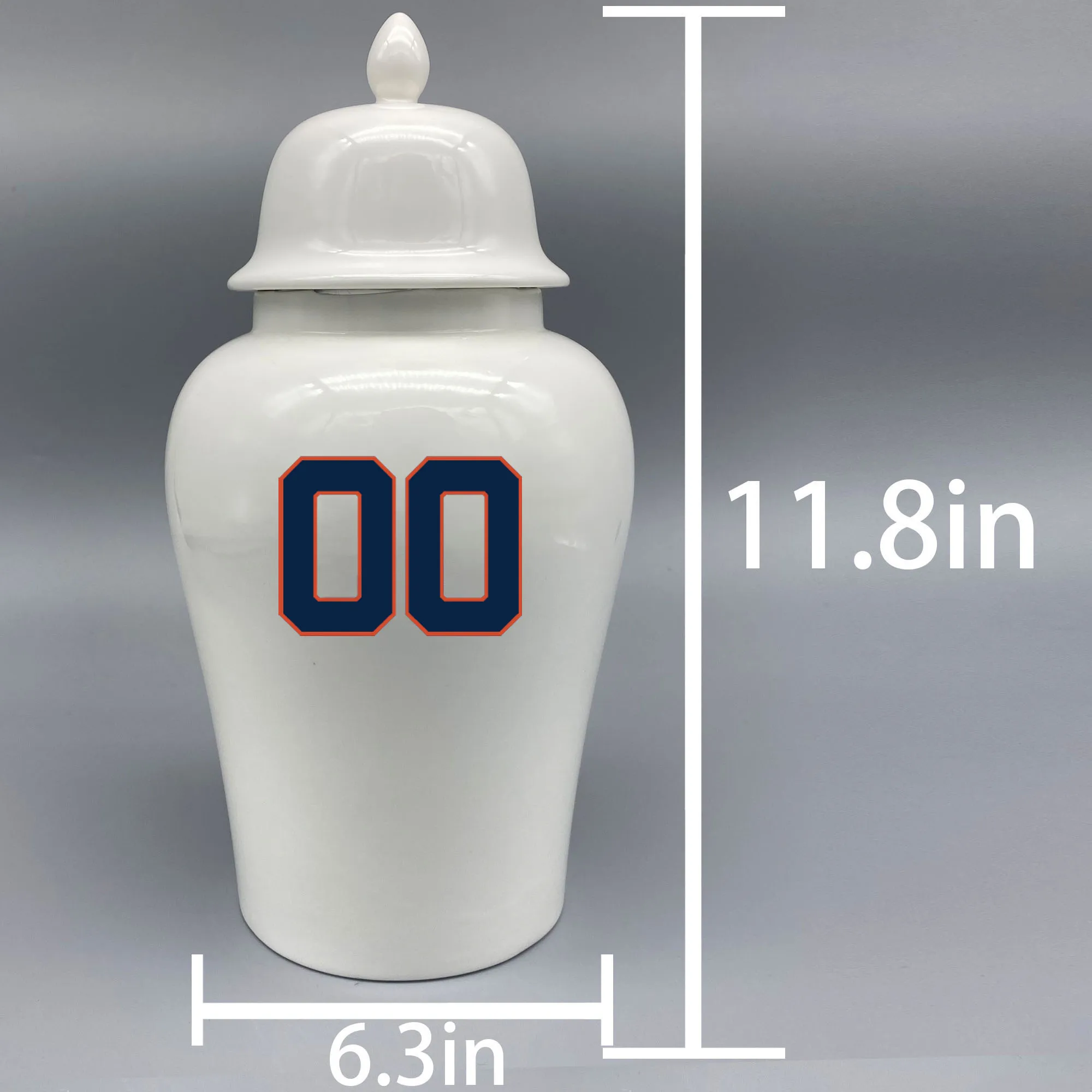 Large Urn for Houston Astros-themed Logo Urn.Please send me the customize information-name/date and number on the urn