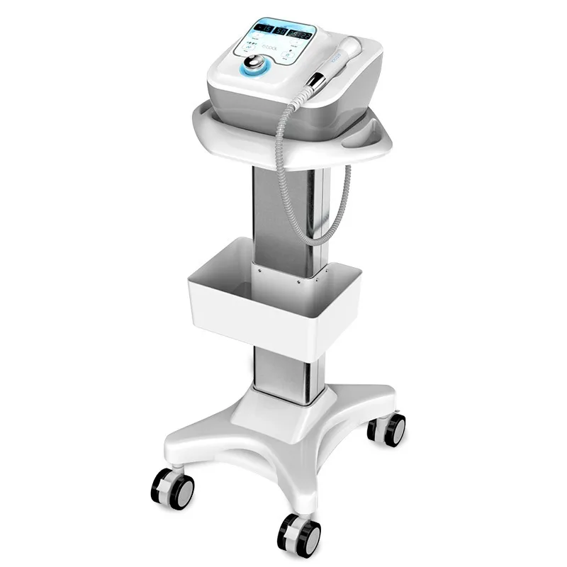 Portable D Cool Skin Rejuvenation Wrinkle Removal Face Lifting Skin Tightening Anti Puffiness Cooling Heating EMS Beauty Device