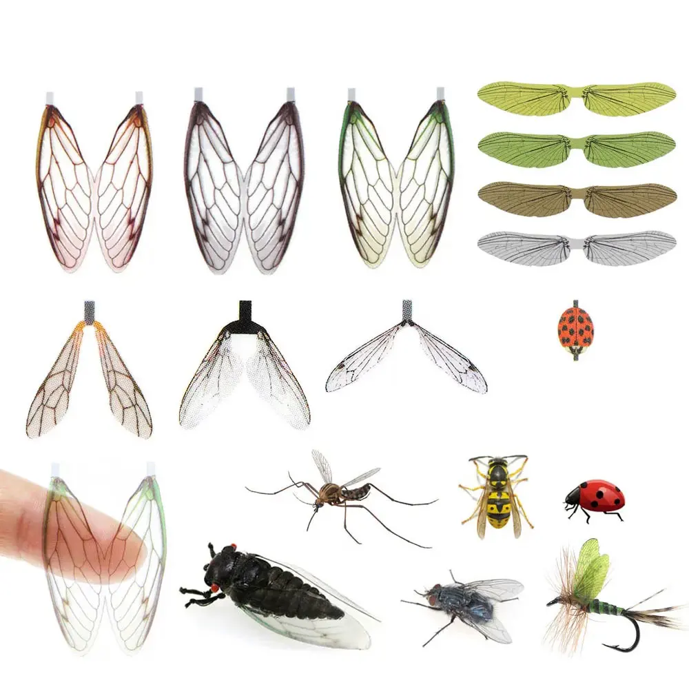 Image of 1 Blatt realistisches Insektenflügel-Material zum Fliegenbinden: Steinfliege, Maifliege, Trockenfliege, Marienkäfer, Wespe, Zikade, Flaschenfliege für Forellen-Angelköder