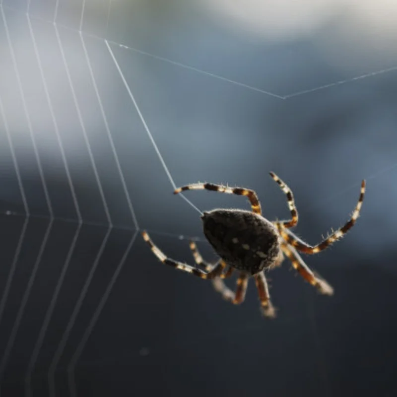 

1pcs Metal Shock Absorber Damper Replacement Accessory Fit For WLtoys 144001 1/14 Four-wheel Drive RC Car Parts