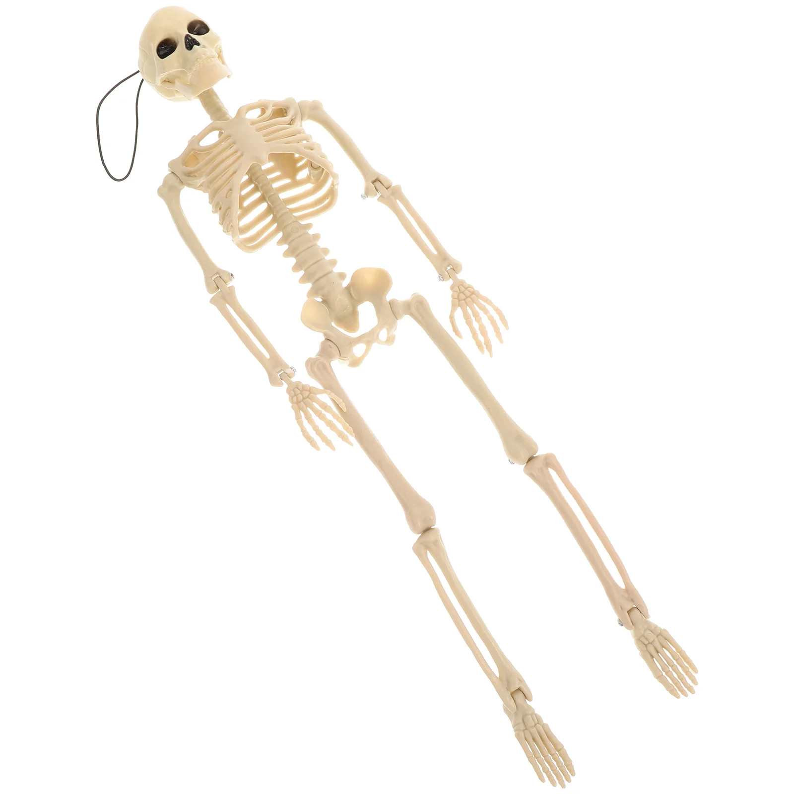 زخرفة الإطار نموذج بلاستيكي عالي الجودة ديكور الهالوين داخلي وخارجي تخطيط المشهد وسائل تعليمية #2