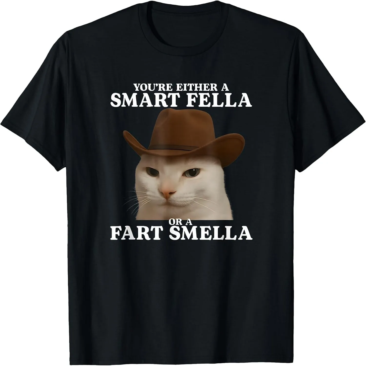 You're Either a Smart Fella or a Fart Smella Funny Cat Meme T-Shirt Fuuny shirt polo shirts for men