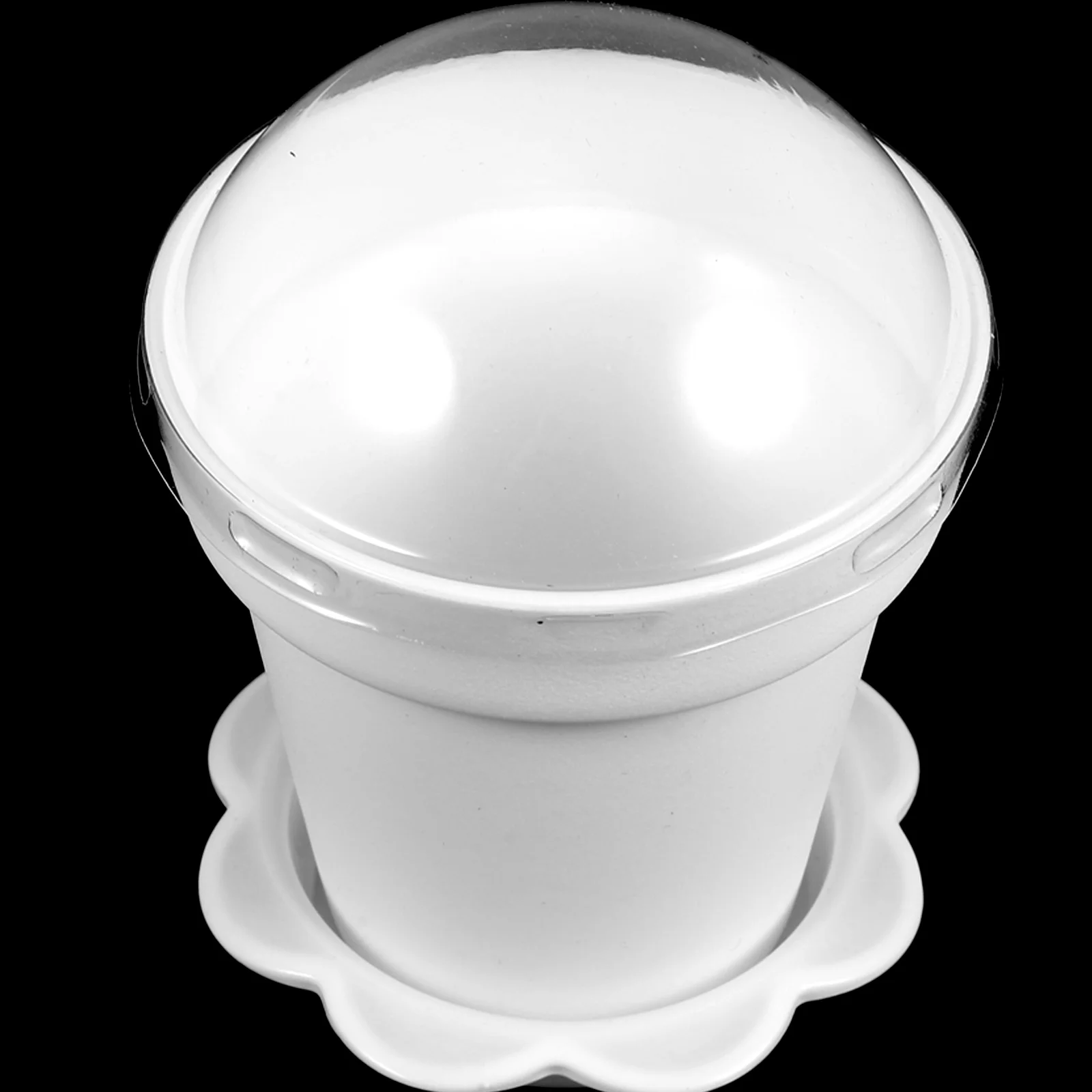 

20 PCS Potted Cake Flower Cups Dessert Desert with Lids Small Mousse for Pots Plants
