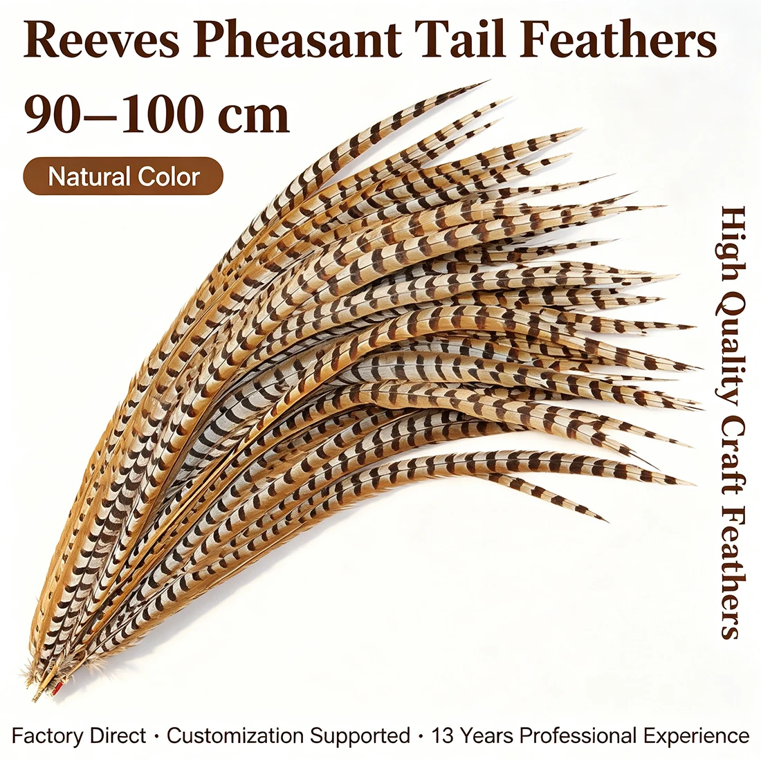 ZPDECOR Reeves Pheasant Tail Feathers Long 90-100cm/36-40 Inch for Crafts And DIY Projects - Assorted Colors