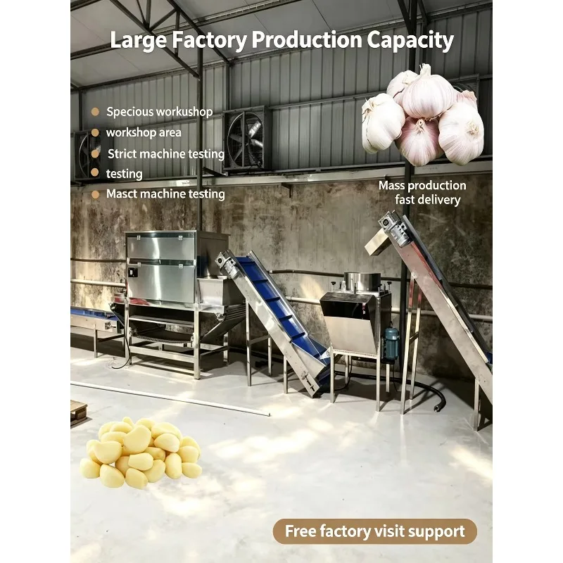 Customized Garlic Peeling Machine Industrial Garlic Clove Sorting Machine Garlic Processing Line