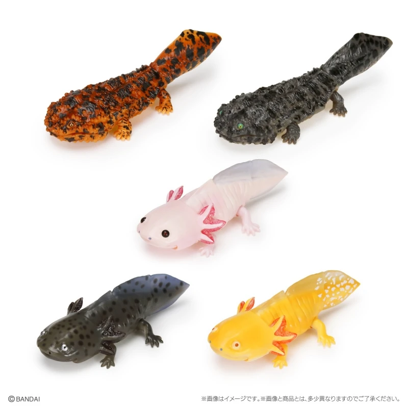 

Bandai Original 5Pcs Gashapon Online オオサンショウウオとメキシコサラマンダー Action Figure Toys For Kids Gift Collectible Model Ornaments