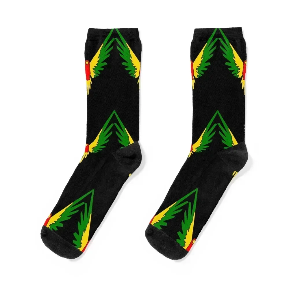 

Unisex maverick multi-colour hoody, jake logan paul INSPIRED , youtube hoodie Socks summer winter Boy Socks Women's