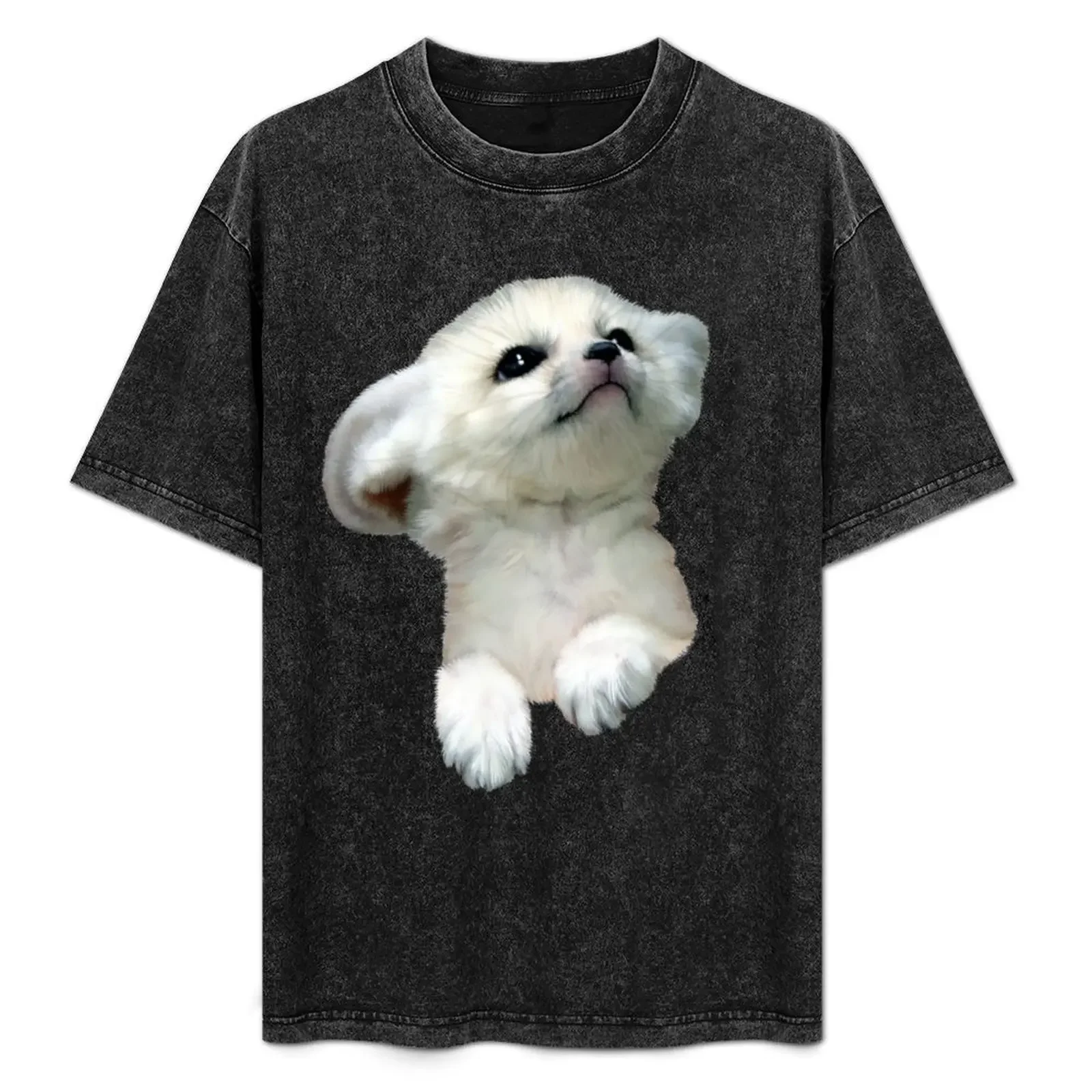 

Arctic Fox _ The Endangered T-Shirt summer 2025 summer shirt customs mens graphic t-shirts pack
