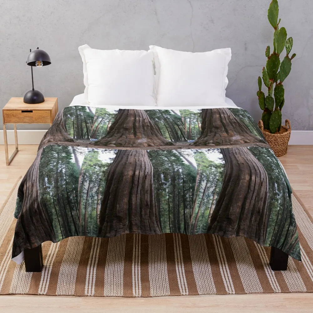 

California giant sequoia redwood tree. Throw Blanket Soft Beds Bed Blankets