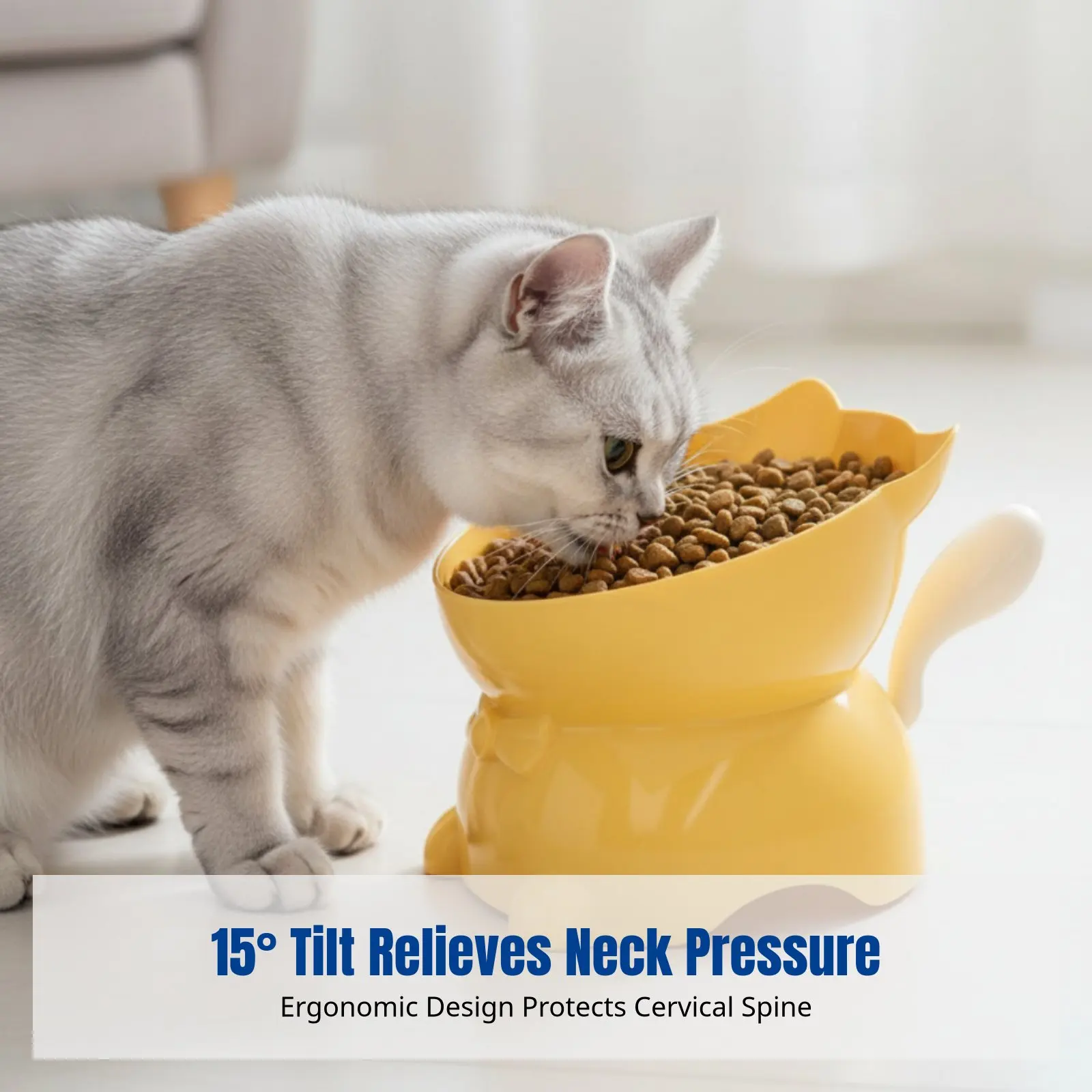 

Tilted Cat Bowl, Anti-Spill, Raised Neck Support, Stainless Steel, Cartoon Design, Pet Feeding Dish
