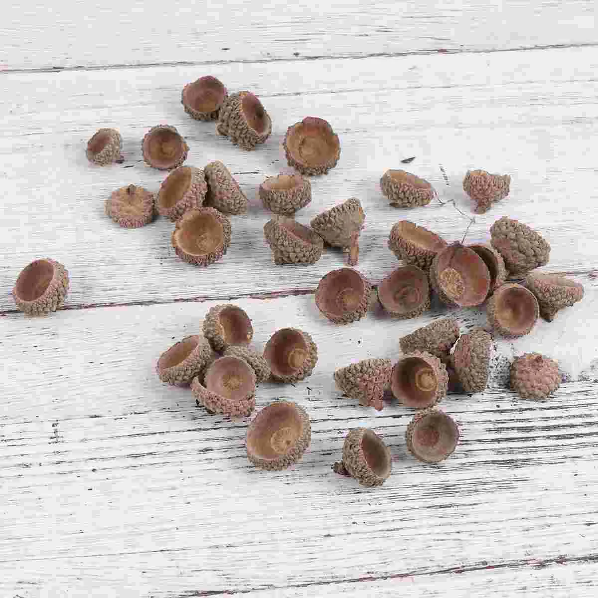 50PCS Natural Acorn Shell Decor Set Durable Eco Friendly for Christmas Autumn Crafts Wedding Party Hangings