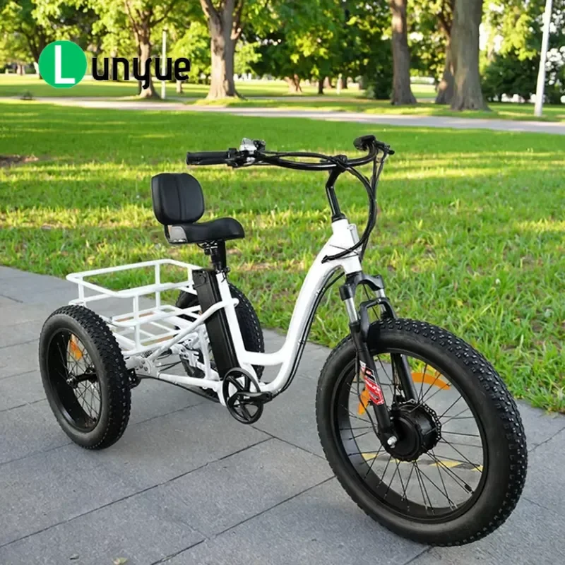 Customized 3 Wheel Cargo Electric Bicycle 48V 750W Front Hub Motor Pedal Assist E Tricycle for Heavy Duty Delivery Transport