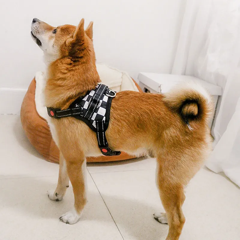 

New Dog Harness Large Dog Pet Dog Saddle Harness Explosion-proof Punch Teddy Ke Fund Hair Samoyed Dog Supplies