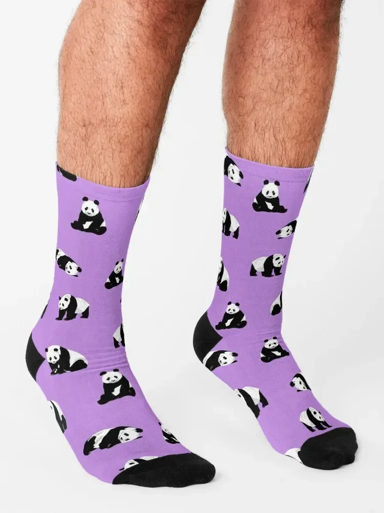 Pandas on Purple Socks professional running christmas gift sheer Men Socks Luxury Brand Women's