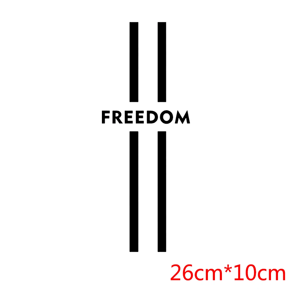 Freedom Heat Transfer Stickers Aesthetics Graphic Letter Fashion Appliques For Clothing Fashion Iron On Patches For Clothes