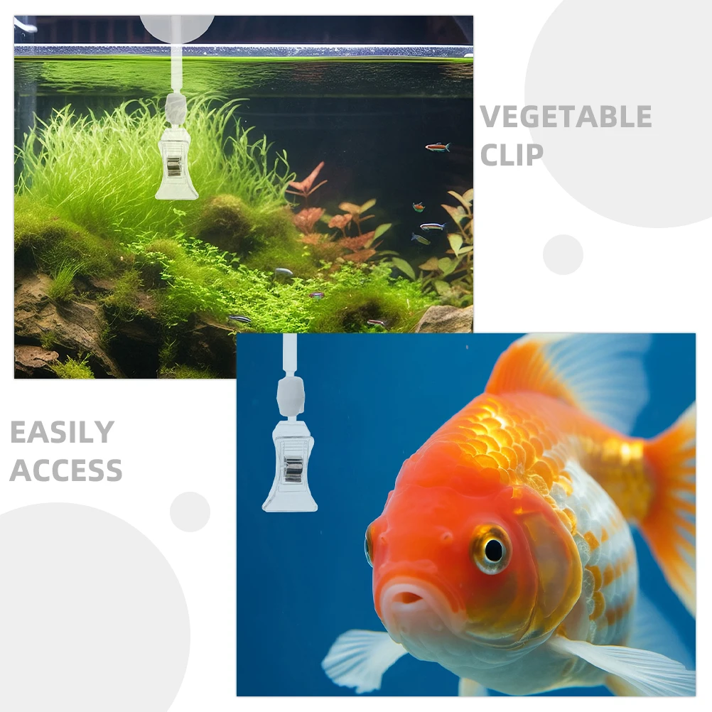 

3 Pcs Feed Clip Aquarium Sucker Frameless Suction Cups with Clips Abs Fodder Clamp Fish Tank