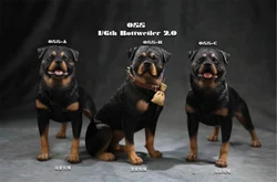 JXK Studio 1:6 Rottweiler Figure Cute Police Pet Dog Animal Model Collector Decor Kid Gift Resin Office Desktop Accessories