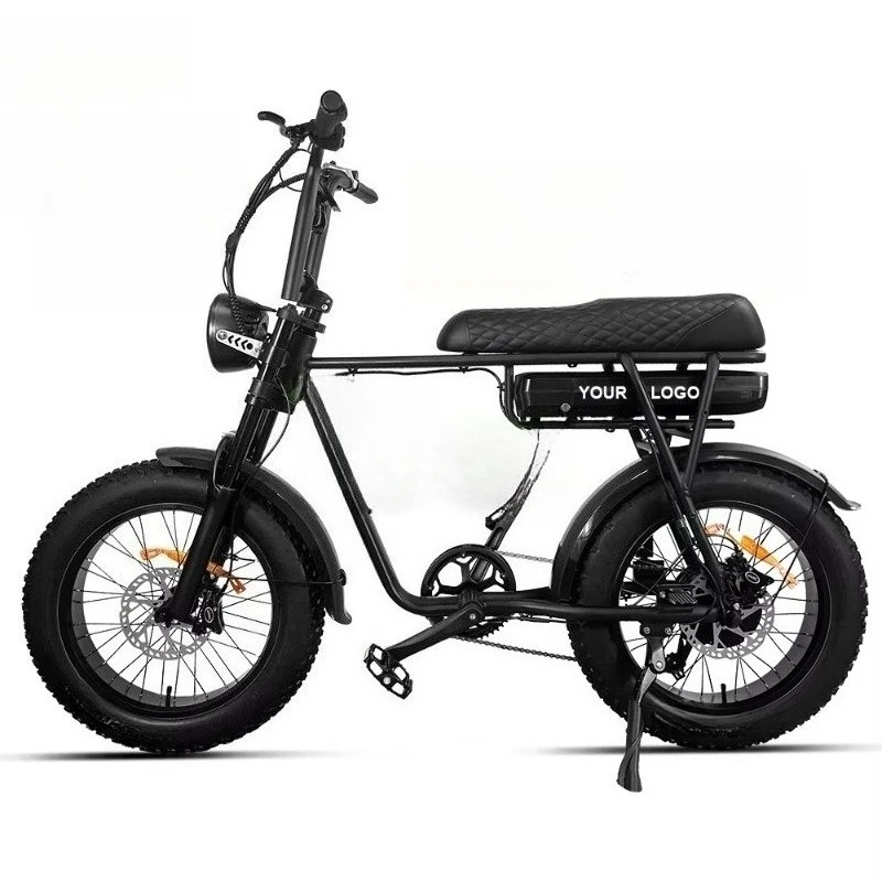 250W 500W 750W 1000w 20 Inch Retro Hybrid Adults  Mountain Fat Tire  Dirt Ebike Electric Bike