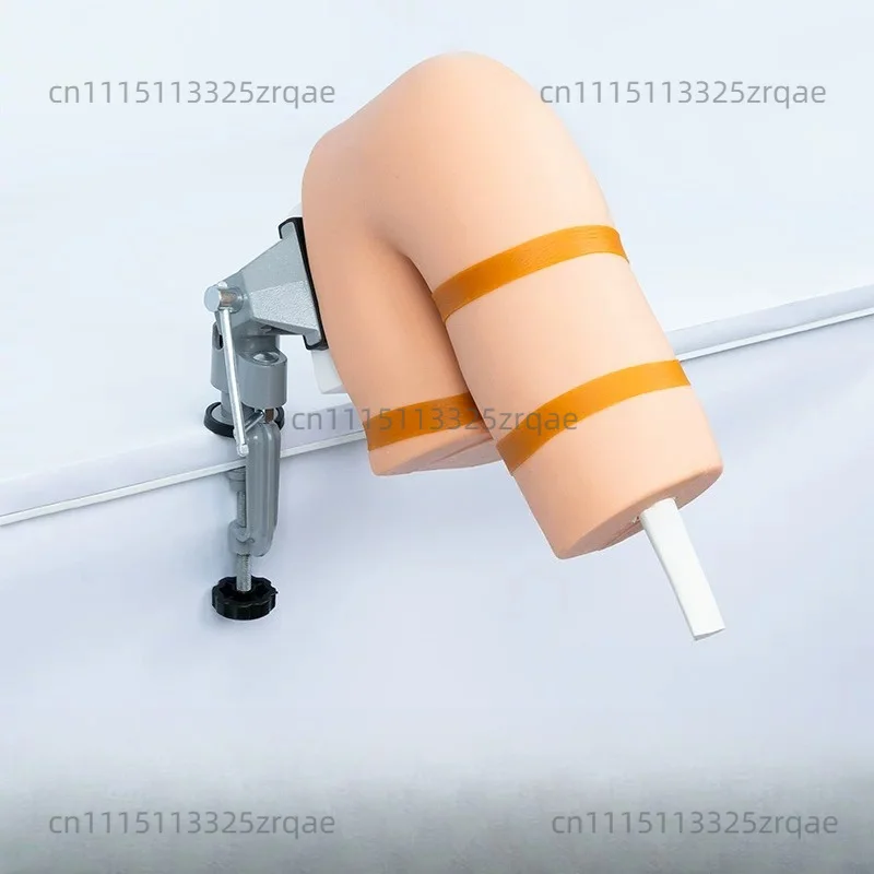 Shoulder Arthroscopy Model, Knee Joint Model, Arthroscopic Surgery Simulation Training, Instrument Training