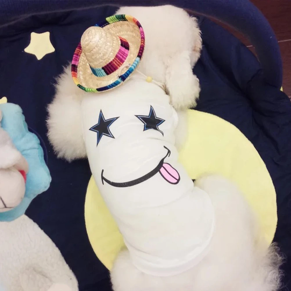 

Pet Hat Pet Supplies Stylish Dog Hat Mexican Style Hat Fisherman Hat for Pet