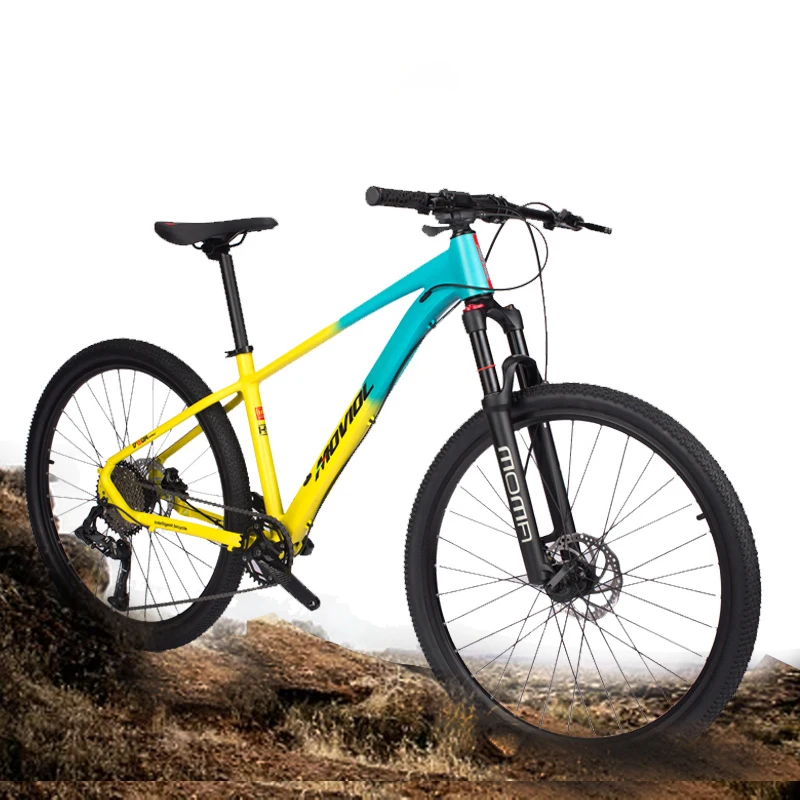 Aluminum Alloy Mountain Bicycle for Adults, Dirt Bike, MTB, Double Oil Disc Brake, Cross Country Bikes, 29\