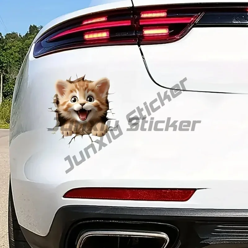 

Effect Kitten Motorcycle Sticker Waterproof for Motorbike Front Fairing Electric Scooter Covering Scratch Vinyl Decls