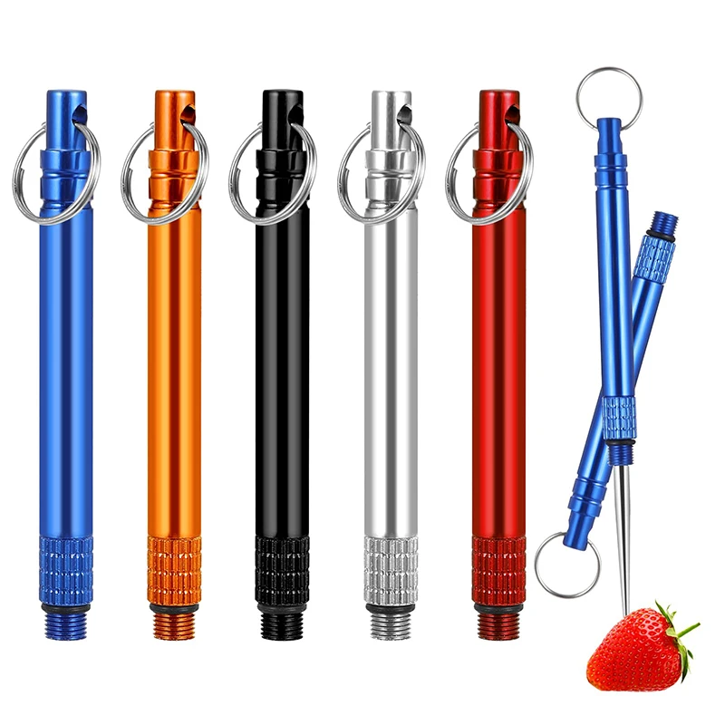 1 Piece Titanium Alloy Toothpick Keychain Multi-functional Fruit Pick Tool For Outdoor Camping Reusable Toothpick Keyring